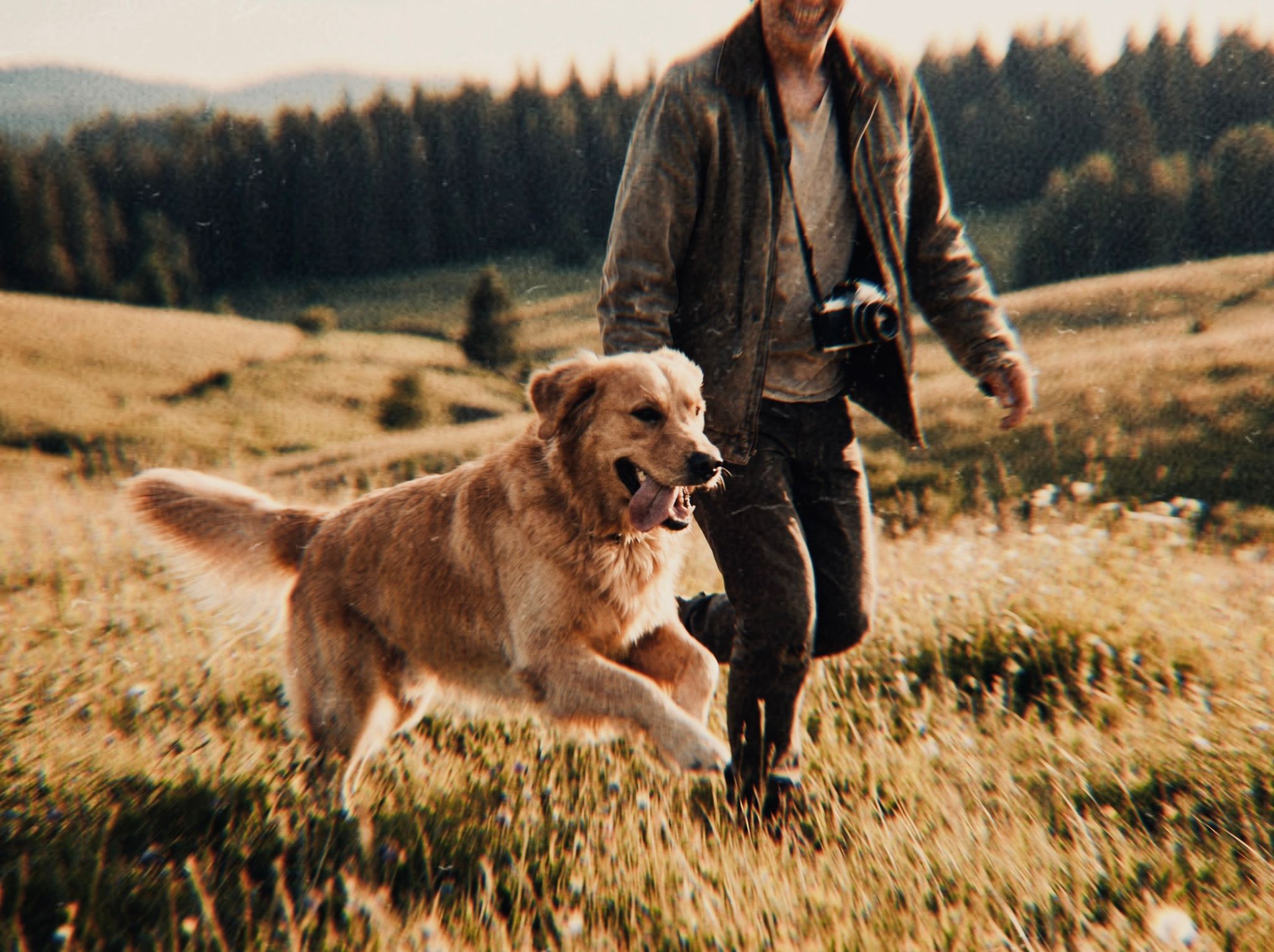 Persoon met hond in de natuur